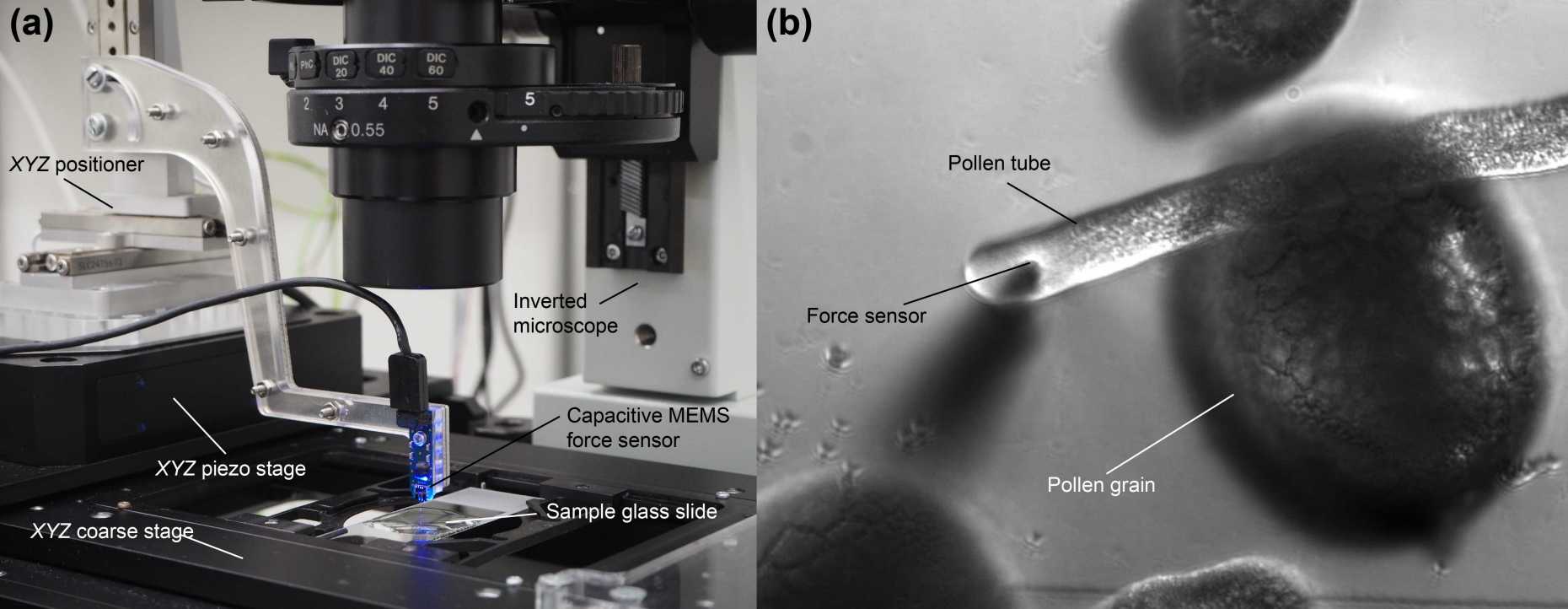 microrobotics eth