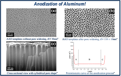 (a) Porous alumina templates on Si