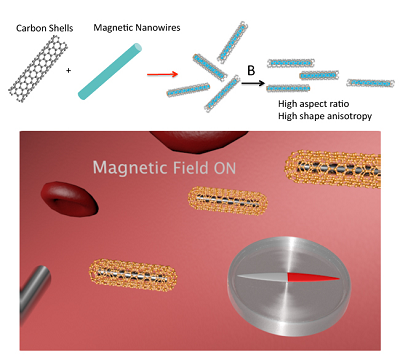 Enlarged view: Magnetic Nanowires